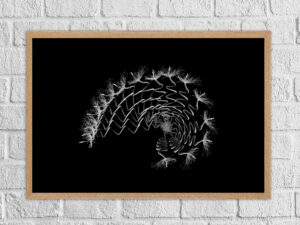 Bothrocabissus pluriabis (numeroted and signed) – Image 2