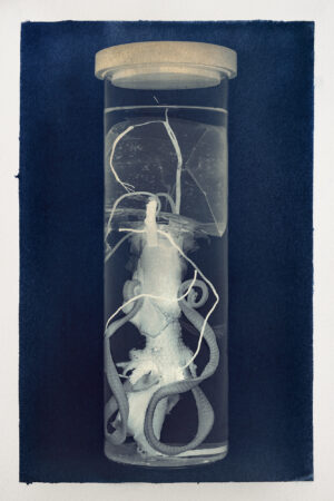 Duoctopus princeps (numeroted and signed) – Image 2